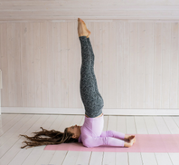 SATORI -  Health From Science|SATORI - Salud desde la Ciencia